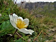 Monte Alben (2019 m) dalla Val Gerona ad anello-29ag22-FOTOGALLERY